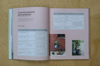 Green : Plants for small spaces, indoors and out