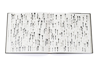 Matt Black - American Geography