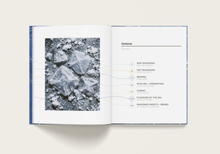 Sea Salt : A Perfectly Seasoned Cookbook