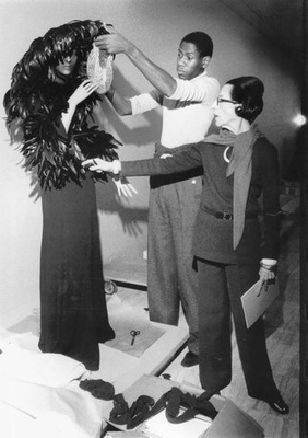 The Chiffon Trenches : A Memoir