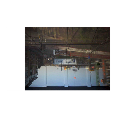 Zoe Leonard: Available Light