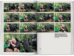 Koolhaas. Countryside, A Report