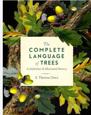 Complete Language of Trees