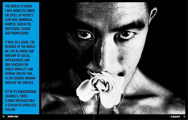 Japan Art Revolution PRZEDSPRZEDAŻ