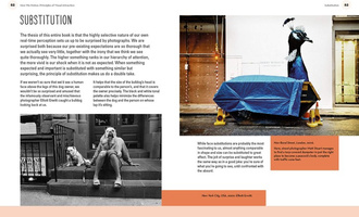 Why You Like This Photo :The science of perception