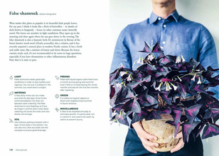 Green Home : The Joy of Living with Plants