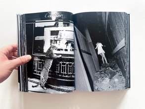 Daido Moriyama: The World through My Eyes