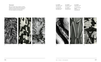 Trees : From Root to Leaf