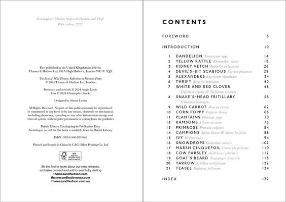 The Book of Wild Flowers : Reflections on Favourite Plants