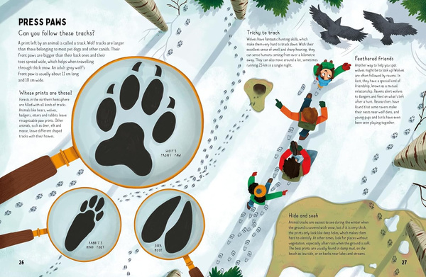 Are Wolves Afraid of the Dark?