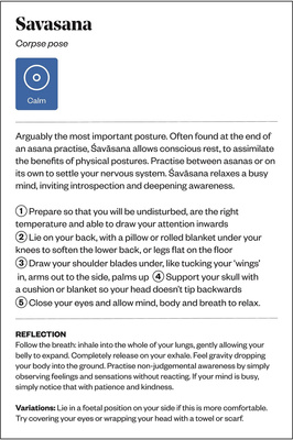 Yoga Teacher in a Box