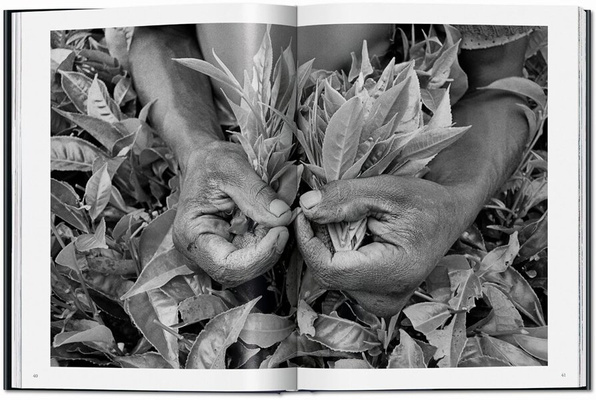 Sebastião Salgado. Workers
