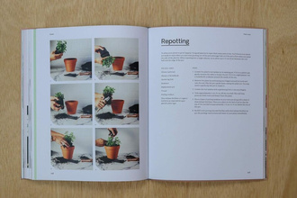 Green : Plants for small spaces, indoors and out