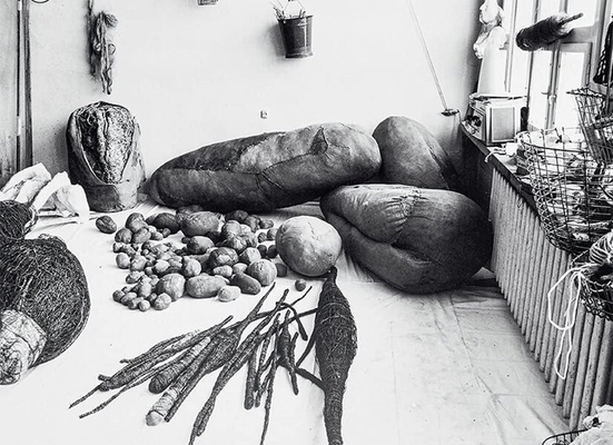 Magdalena Abakanowicz : Writings and Conversations