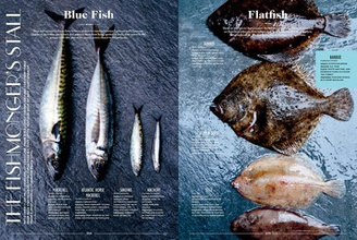 Let's Eat France! 1,250 Specialty Foods, 375 Iconic Recipes, 350 Topics, 260 Personalities, Plus Hundreds of Maps, Charts, Tricks, Tips, and Anecdotes and Everything Else You Want to Know about the