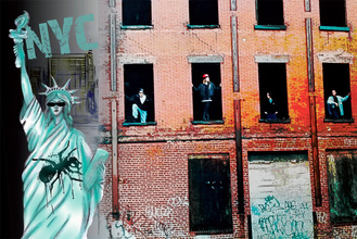 Wildfire : My Ten Years Getting High in The Prodigy