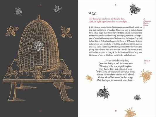 A Shakespeare Motley