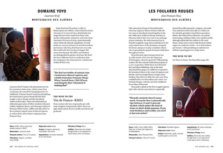 The World of Natural Wine