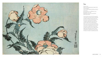 Hokusai beyond the Great Wave