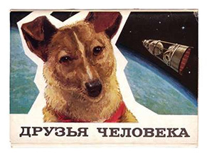 Soviet Space Dogs