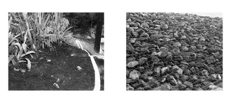 Larry Sultan & Mike Mandel: Evidence