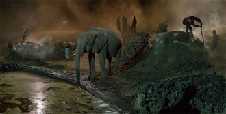 Nick Brandt: This Empty World