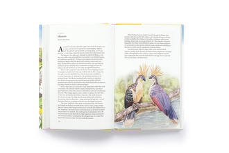 Around the World in 80 Birds