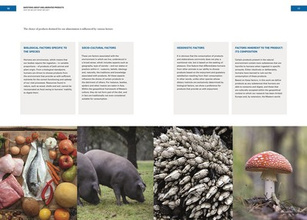 Unelaborated Products : Definition and Classification