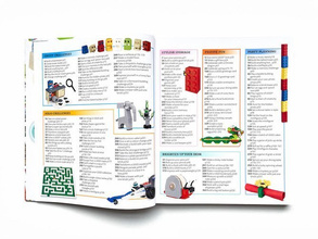 365 Things to Do with LEGO (R) Bricks