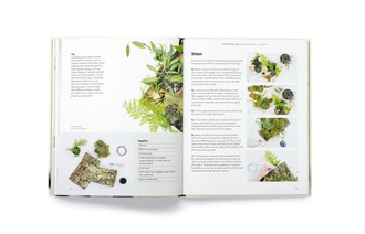 How to plant a room and grow a happy home