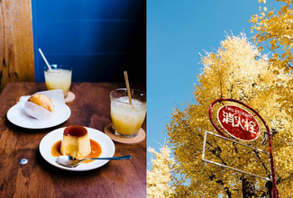 A Day in Tokyo : A Japanese Cookbook