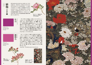 The Beautiful Traditional Colors of Japan