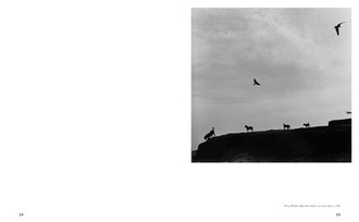 Graciela Iturbide, Heliotropo 37