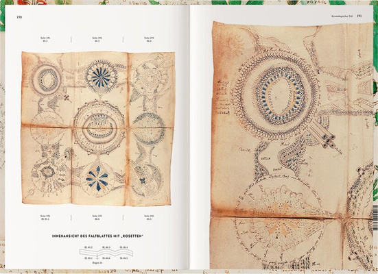 The Voynich Manuscript - Essays in German & English