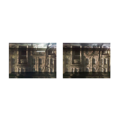 Zoe Leonard: Available Light