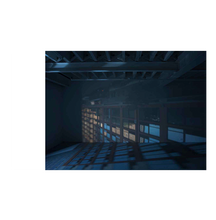 Zoe Leonard: Available Light