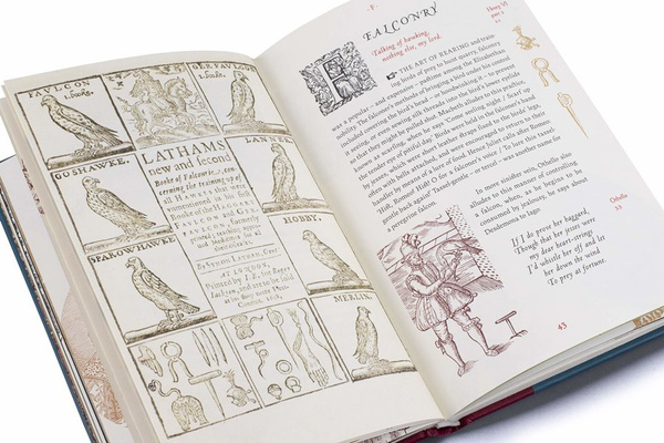 A Shakespeare Motley