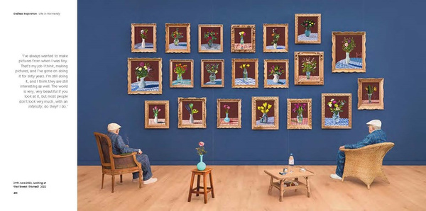 Hockney's Pictures
