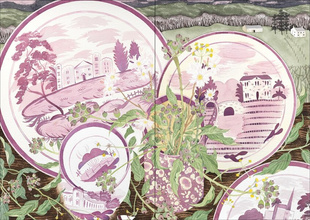 The Book of Wild Flowers : Reflections on Favourite Plants