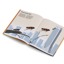 How Big Is Big? How Far Is Far? All Around Me (Metric)