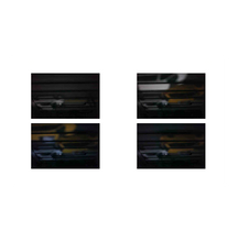 Zoe Leonard: Available Light