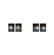 Zoe Leonard: Available Light