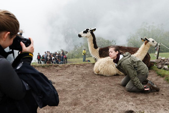 Martin Parr Small World