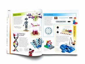 365 Things to Do with LEGO (R) Bricks