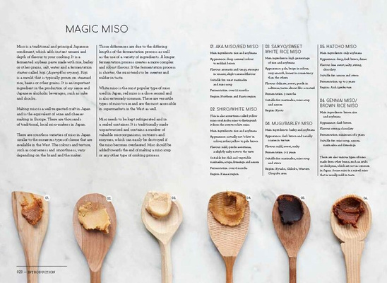 Japanese Food Made Easy