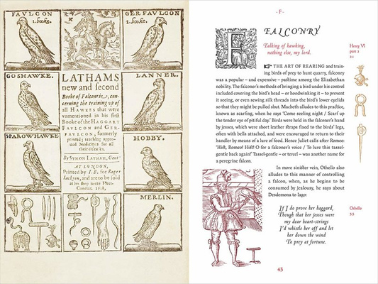 A Shakespeare Motley