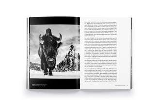 David Yarrow : How I Make Photographs