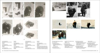 Georgia O'Keeffe, Photographer