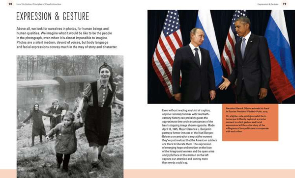 Why You Like This Photo :The science of perception