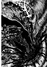 Berserk Deluxe Volume 11